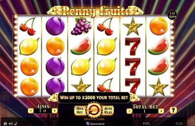 Penny Fruits вид аппарата